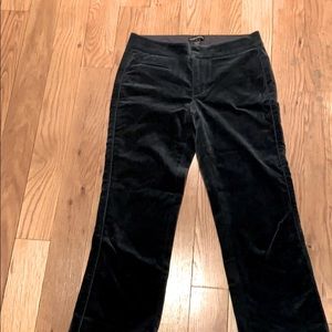 Velvet Club Monaco pants size 0